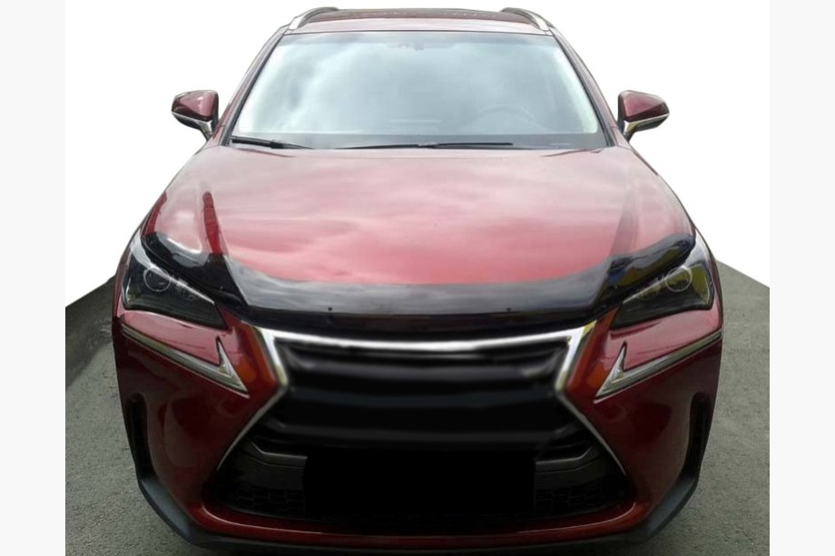 Lexus NX 2014-2021 Deflecteur de capot 2014+ (SIM) Image