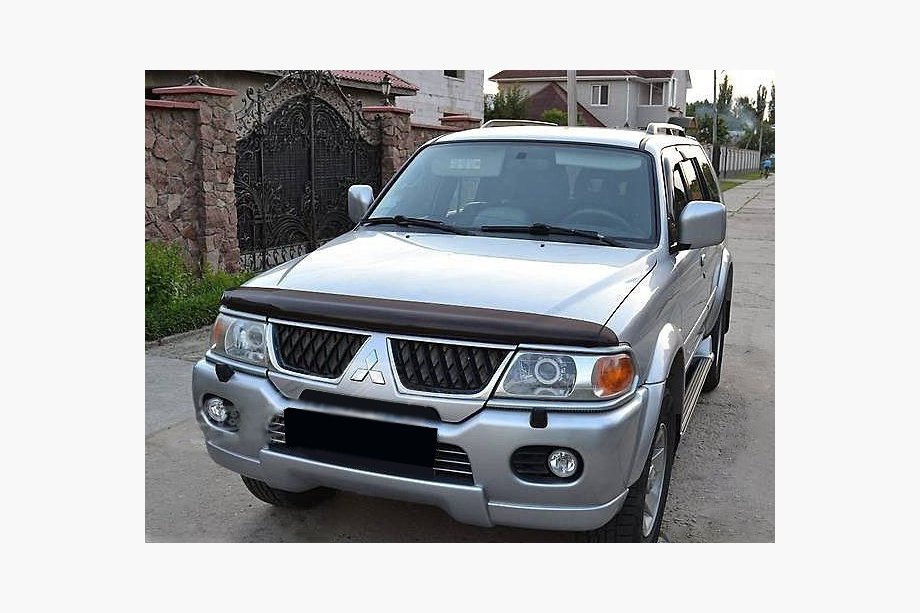 Mitsubishi Pajero Sport 1996-2007 Déflecteur de capot (SIM) Image