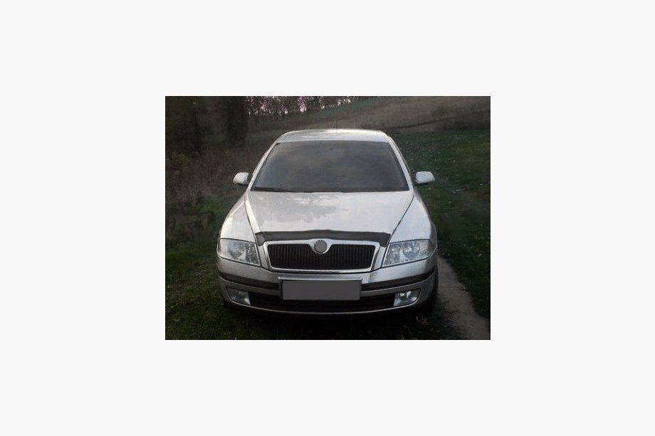 Skoda Octavia II A5 2006-2010 Déflecteur de capot (VIP) Image