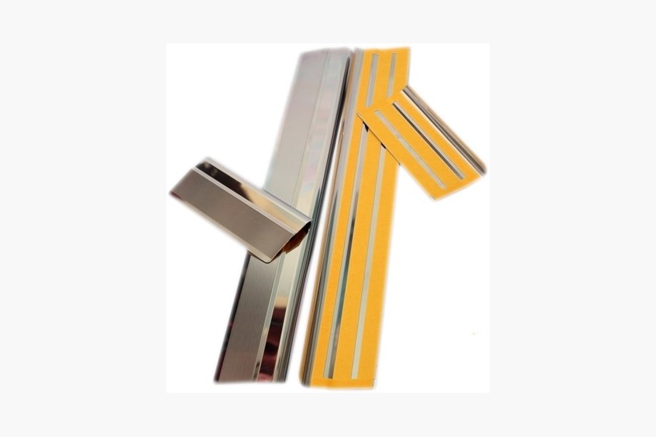 Renault Master 1998-2010 Seuils de porte inox Natanika Premium (2 pcs) Image