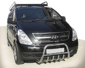 Hyundai H300, H1, Starex 2008-2020 Pare-buffle WT003-2 (Inox) photo 1