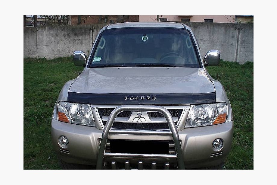 Mitsubishi Pajero Wagon III 1999-2006 Déflecteur de capot (VIP) Image