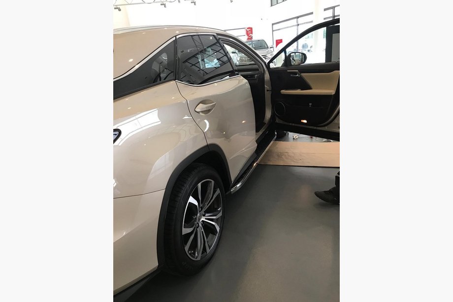Lexus RX 2016-2022 Marchepieds BlackLine (2 pcs) Image