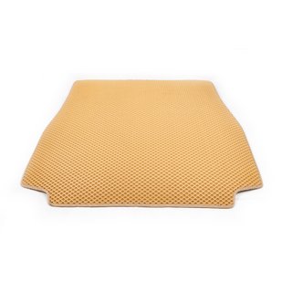 Tapis de coffre (EVA, Beige) BMW X5 E53 1999–2006 photo 1
