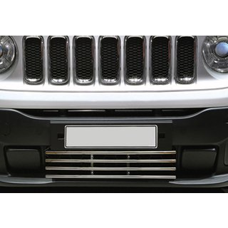 Grille de pare-chocs inox photo 1