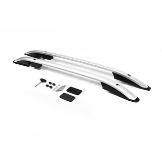 Barres de Toit Skyport Gris (2 pcs)