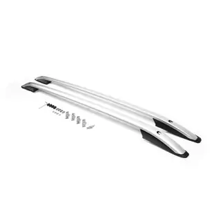 Barres de toit Skyport (gris mat)