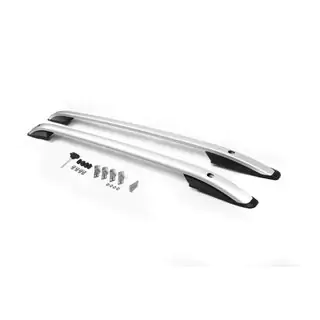Barres de Toit Skyport GREY