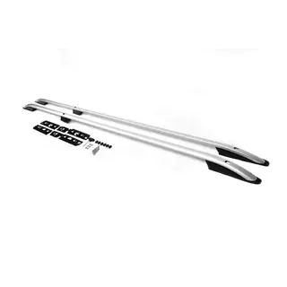 Barres de toit Skyport (argent) photo 1