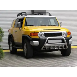 Pare-buffle WT003 (Inox) photo 3