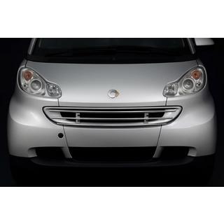 Grille de protection avant Smart 2007-2014 photo 1