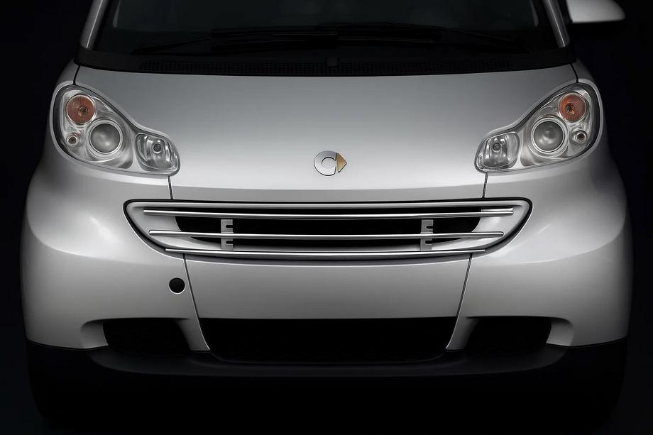 Smart 2007-2014 Grille de protection avant Image