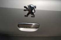 Peugeot 307 2001-2008 Cache poignée de coffre chromé (inox) photo 1