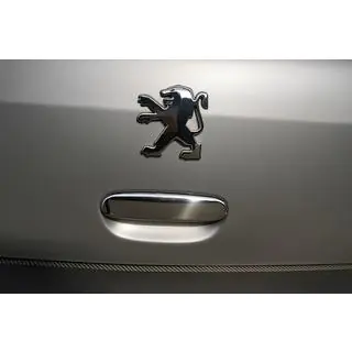 Cache poignée de coffre chromé (inox)