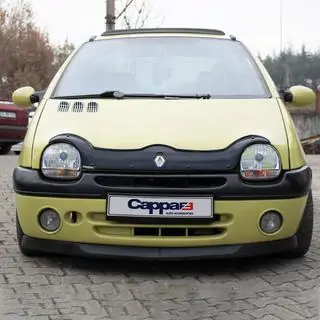 Déflecteur de capot (EuroCap) photo 1