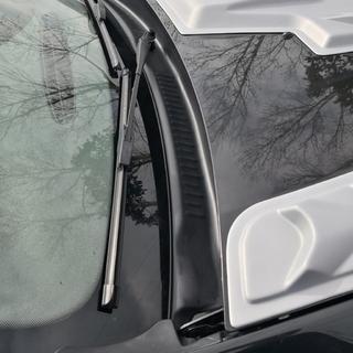 Cache de baie de pare-brise (ABS) Renault Duster 2008–2017 photo 2