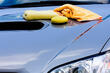 Prendre soin de la peinture de la voiture photo 1