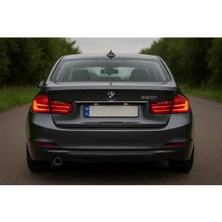 Baguette inox au-dessus de la plaque d'immatriculation BMW 3 Series F30/F31 2012-2019 photo 1