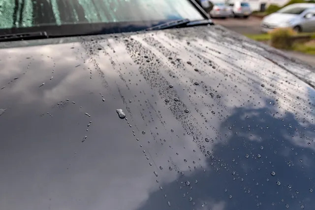 Qu’est-ce qu’un revêtement hydrophobe et quels sont ses avantages