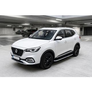 Marchepieds Latéraux Tayga Grey (2 pcs, Aluminium) photo 1