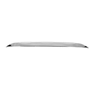 Baguette inox au-dessus de la plaque d'immatriculation photo 1