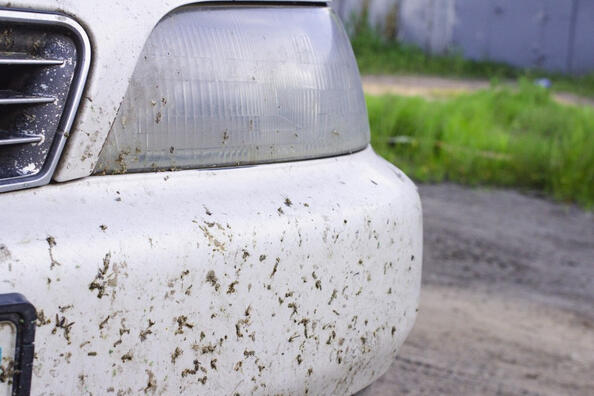 Comment se débarrasser rapidement des moucherons sur une voiture