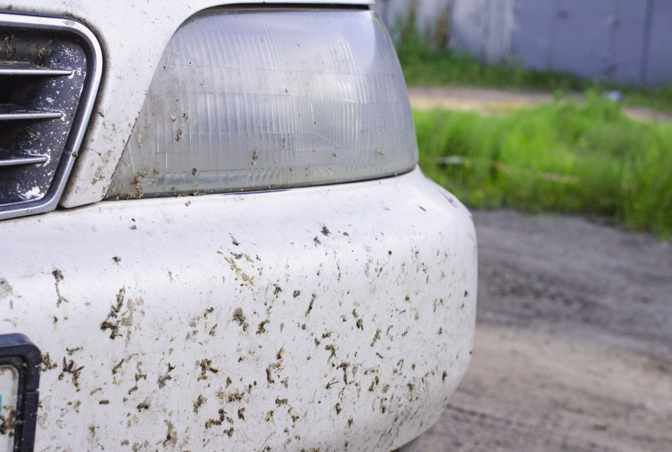 Comment se débarrasser rapidement des moucherons sur une voiture