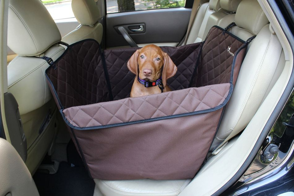 Comment bien transporter un chien en voiture : conseils et recommandations