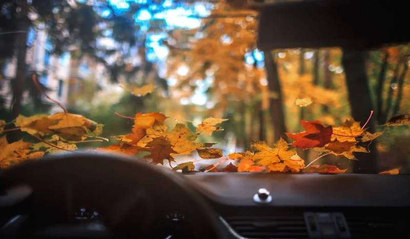 Comment préparer votre voiture pour l’automne