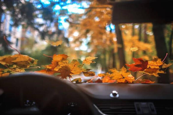 Comment préparer votre voiture pour l’automne