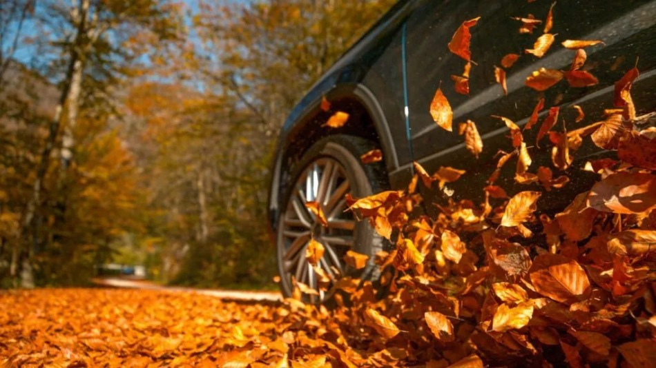 Cinq erreurs qui peuvent conduire à un accident de la route en automne
