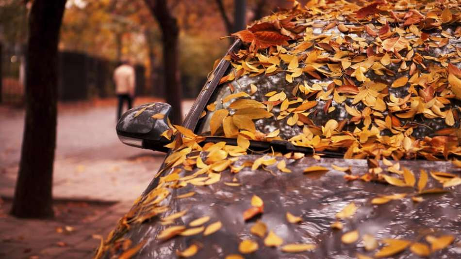 Comment entretenir une voiture en automne ?