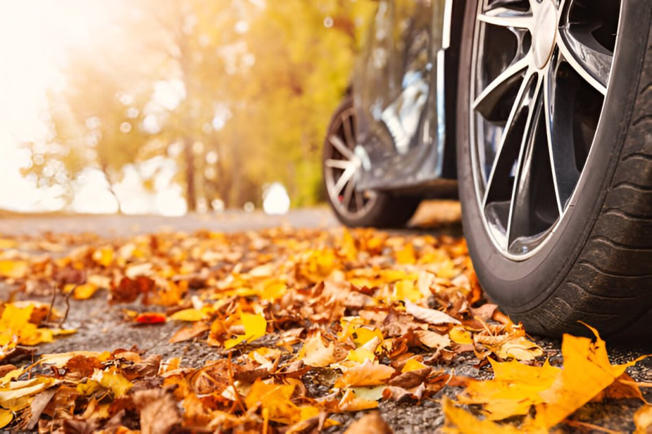 Quels pneus sont les meilleurs pour l’automne ?