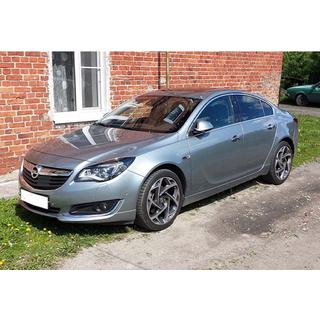 Lame avant DPT (apprêtée pour peinture) Opel Insignia 2008-2017 photo 2