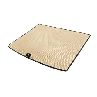 Tapis de coffre EVA (pour BYD Song Plus EV, Beige) photo 2