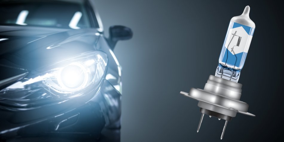 Quelles ampoules choisir pour une voiture : nous comprenons la variété