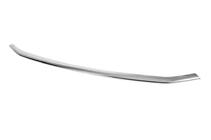 Ford Courier 2023- Protection de pare-chocs avant (1 pièce, inox) photo 2