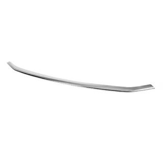 Protection de pare-chocs avant (1 pièce, inox) Ford Courier 2023- photo 2
