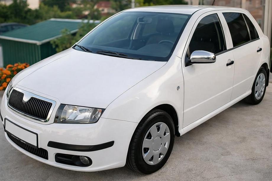 Skoda Fabia 2000-2007 Couvre-Rétroviseurs 2006↗ (2 pcs, Acier Inoxydable) Image