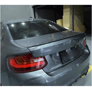 Aileron style M2 (pour F22, carbone) photo 3