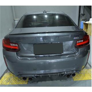 Aileron style M2 (pour F22, carbone) photo 4