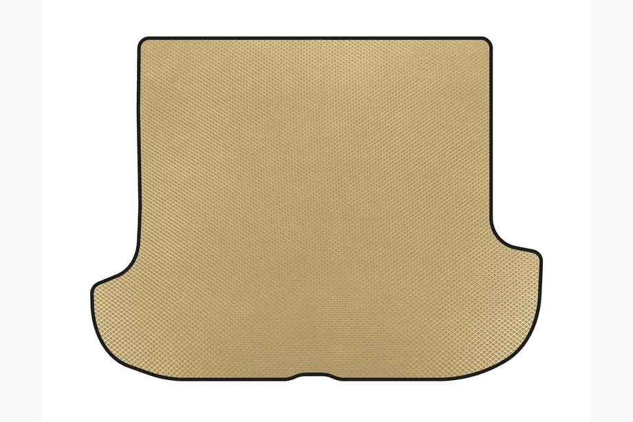 Hyundai Terracan 2001-2007 Tapis de coffre EVA (Beige) Image