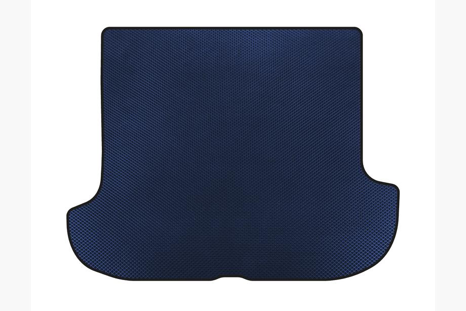 Hyundai Terracan 2001-2007 Tapis de coffre EVA (Bleu) Image