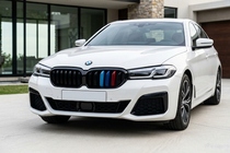 BMW Série 5 G30/G31 2017–2023 Grilles M-Look V1 (2021+, M-Color) photo 1
