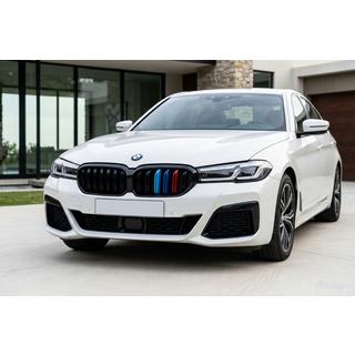Grilles M-Look V1 (2021+, M-Color) BMW Série 5 G30/G31 2017–2023 photo 1