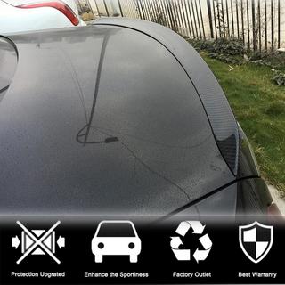 Spoiler V6 (Carbone) photo 2