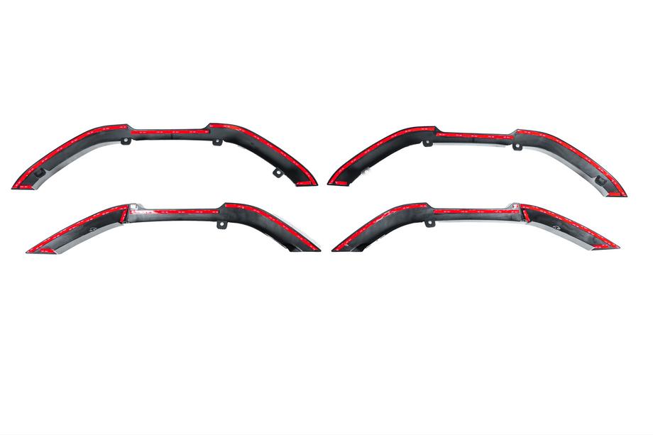 Toyota Land Cruiser Prado 250 2023- Extensions d'ailes Photo 10