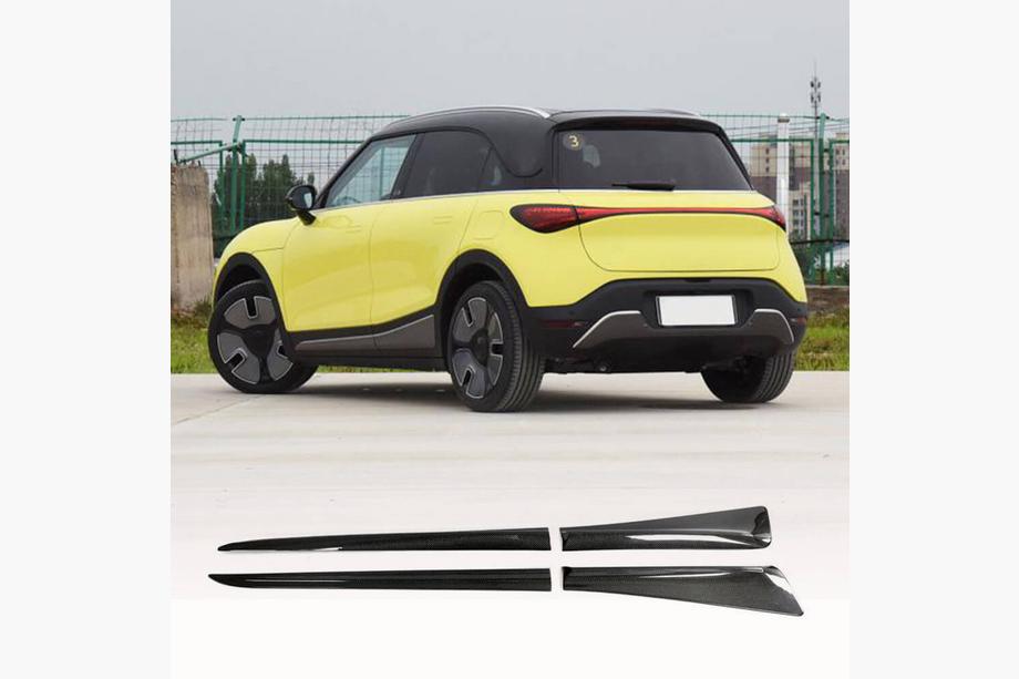 Smart 1 2022- Bas de Caisse (Carbone) Image
