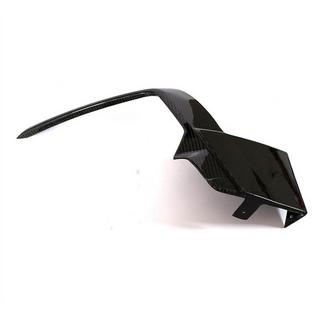 Couvre Pare-chocs Avant Carbone (R/R-line HB 2017-2020) photo 4