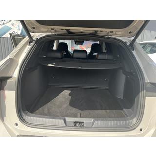 Tapis de coffre textile Premium (pour BYD Song Plus EV, Noir) photo 3